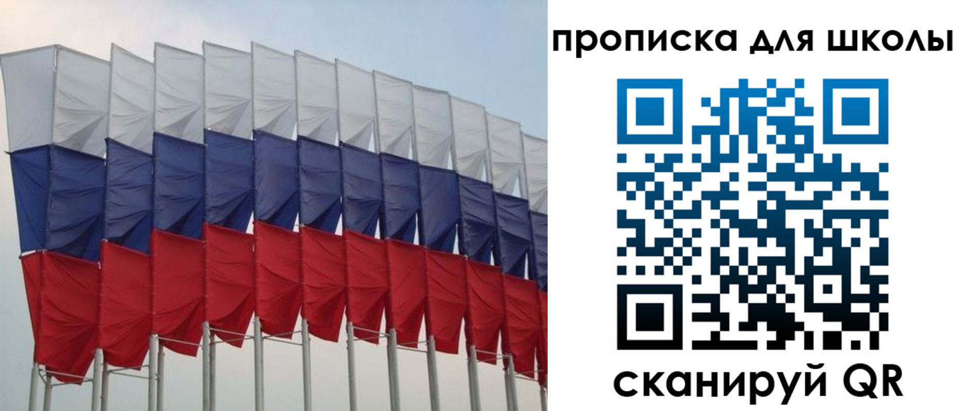 прописка для работы в Звенигово